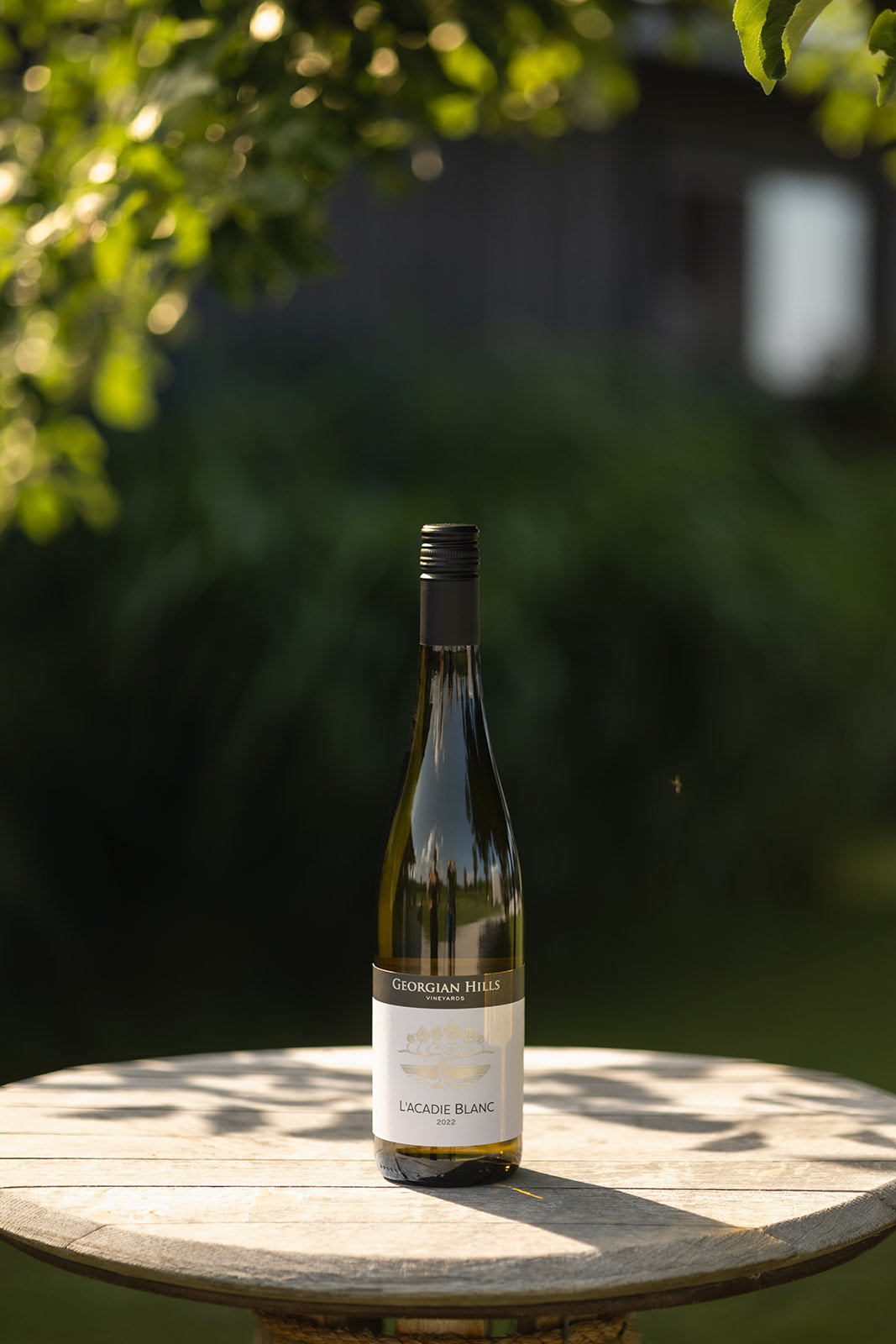 L'Acadie Blanc 2022 – Georgian Hills Vineyards